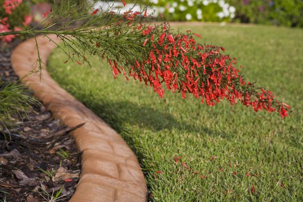 Brick Edging in Zionsville
