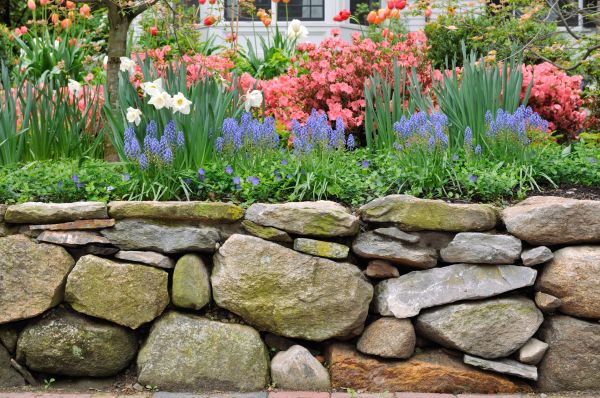 Stone Wall Hardscaping in Zionsville