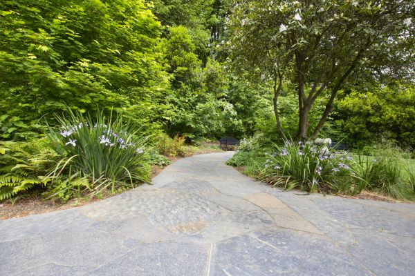 Stone Hardscape Service in Zionsville