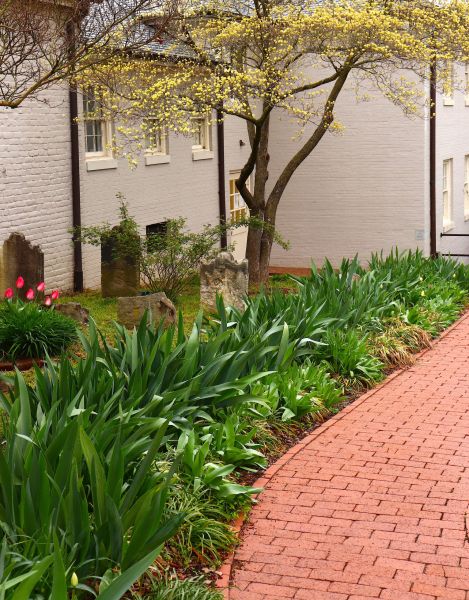 Brick Flatwork Repair in Zionsville